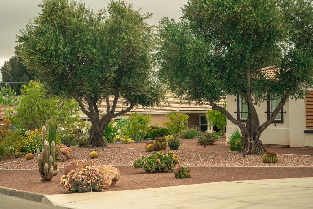 Dolor Sit Amet landscaping project